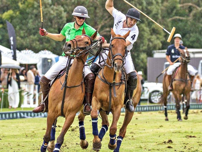 Image of the event 'Land Rover Polo in the City'