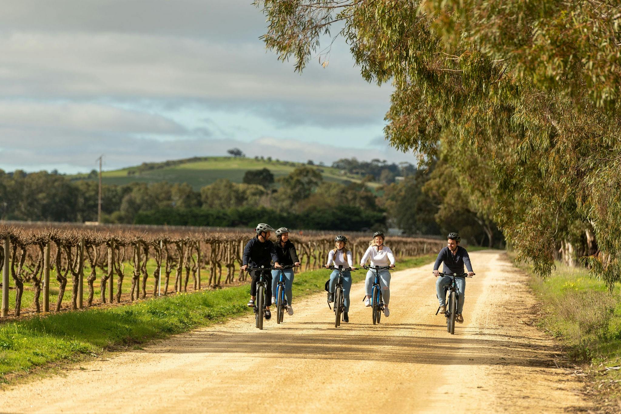 Ride through beautiful vineyards in The Barossa Valley