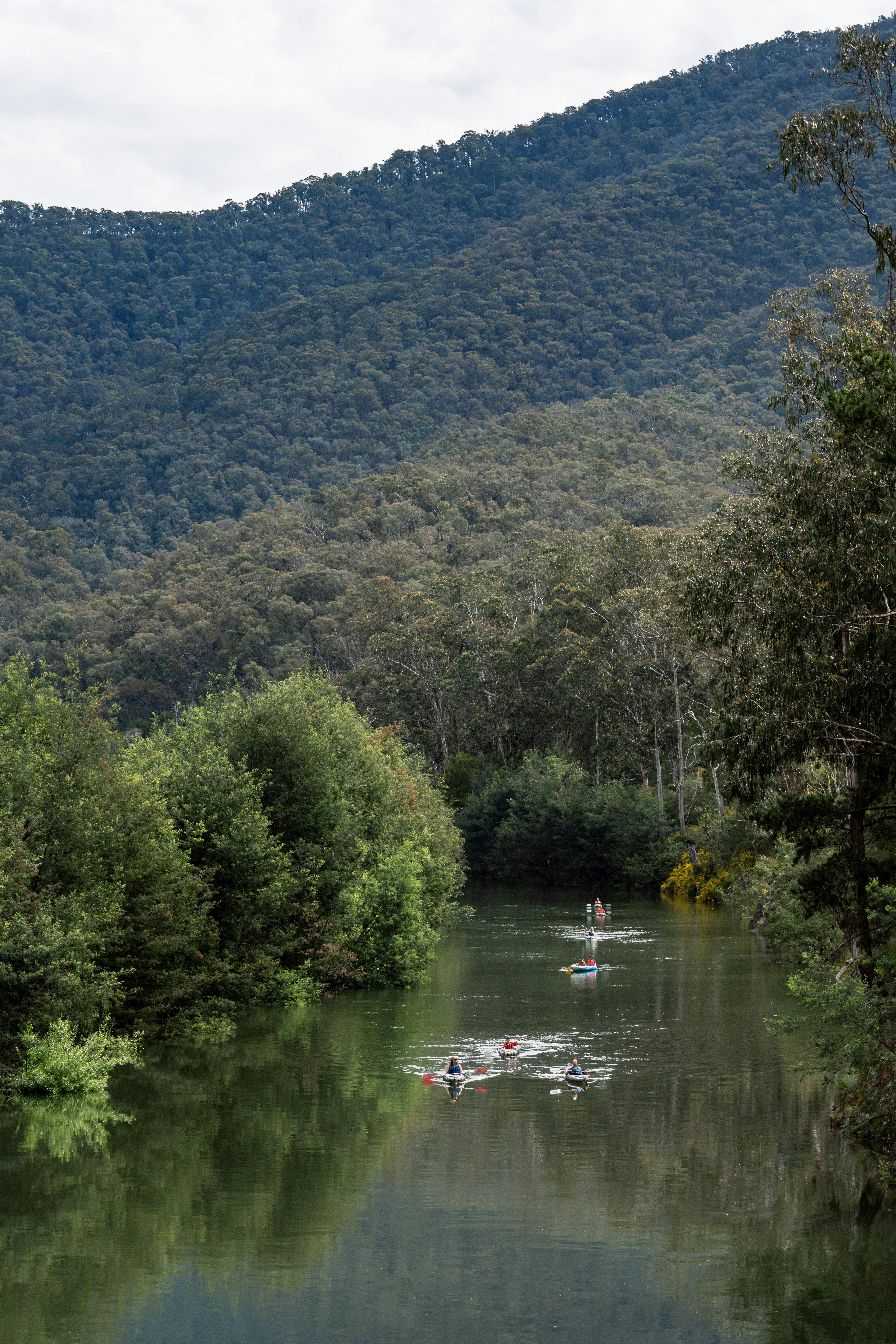 Kayak Australia