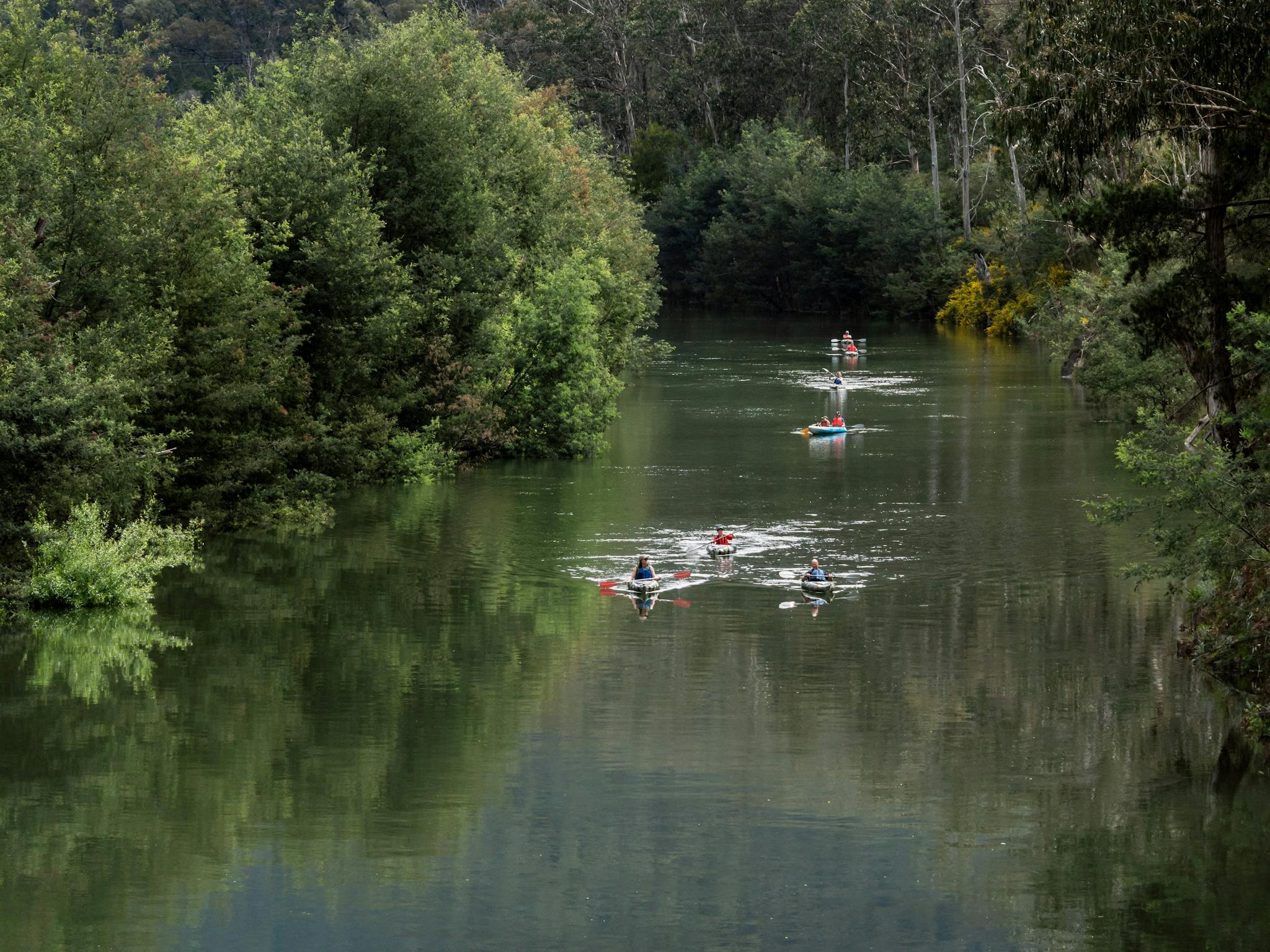 Lake Eildon Kayak Adventure