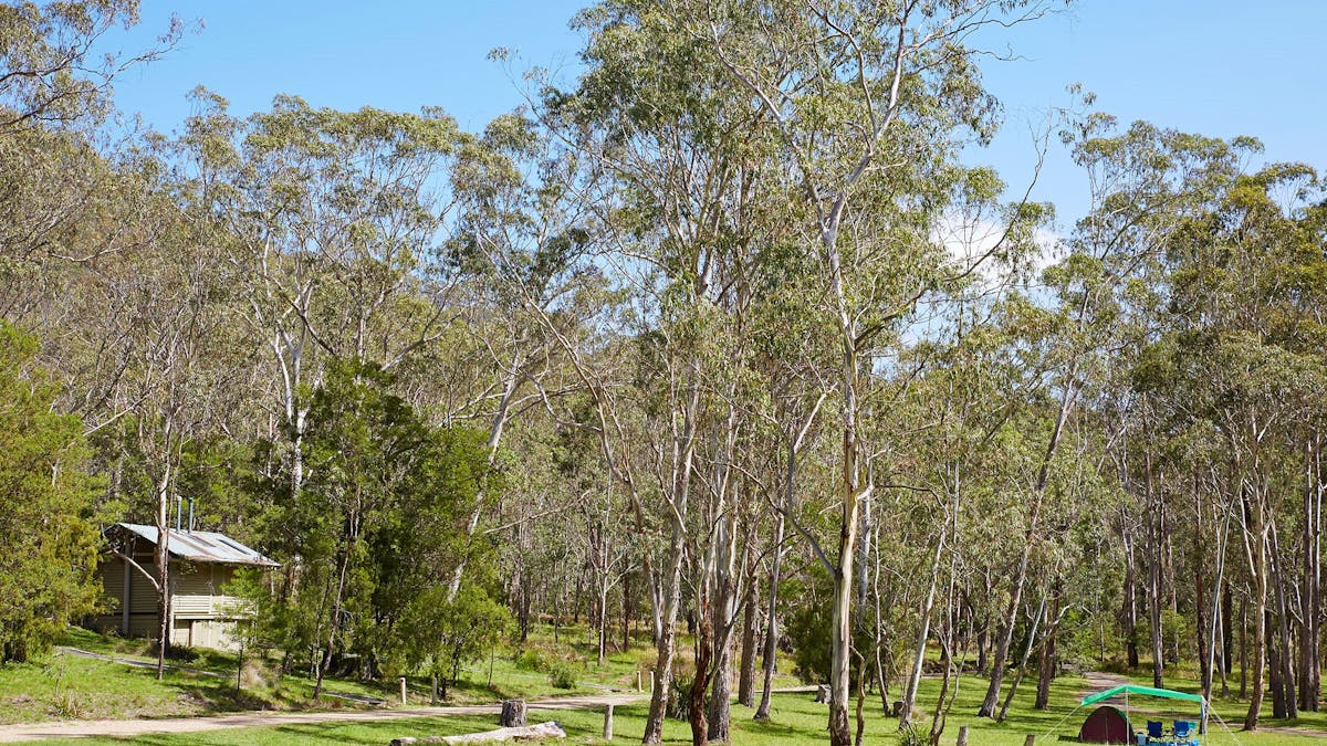 Tent camp under trees on grass near toilet block.