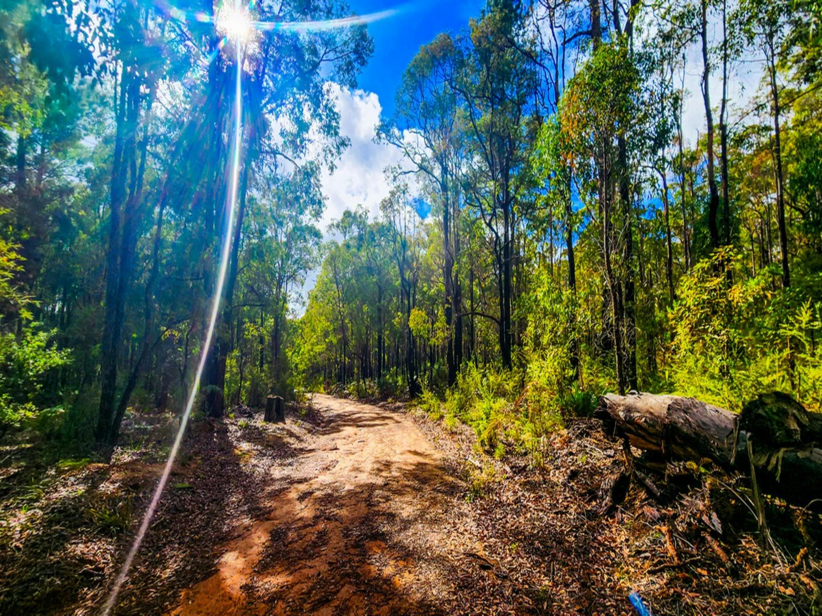 Island Pool Walk Trail, Lane Poole Reserve