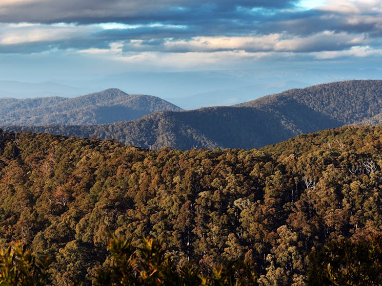 View form Hanging Mountain, Deua National Park