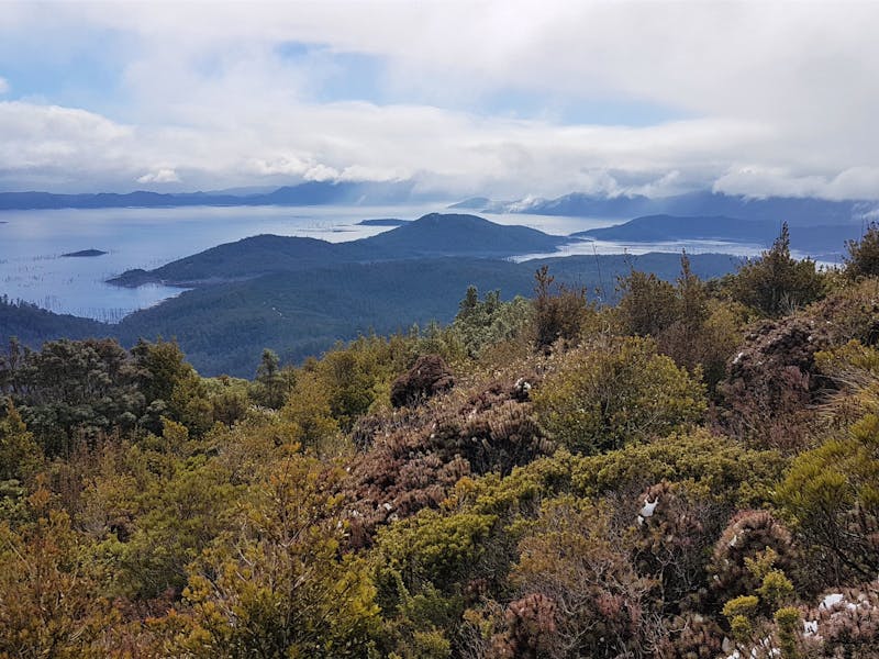 Bushwalk, Tasmania