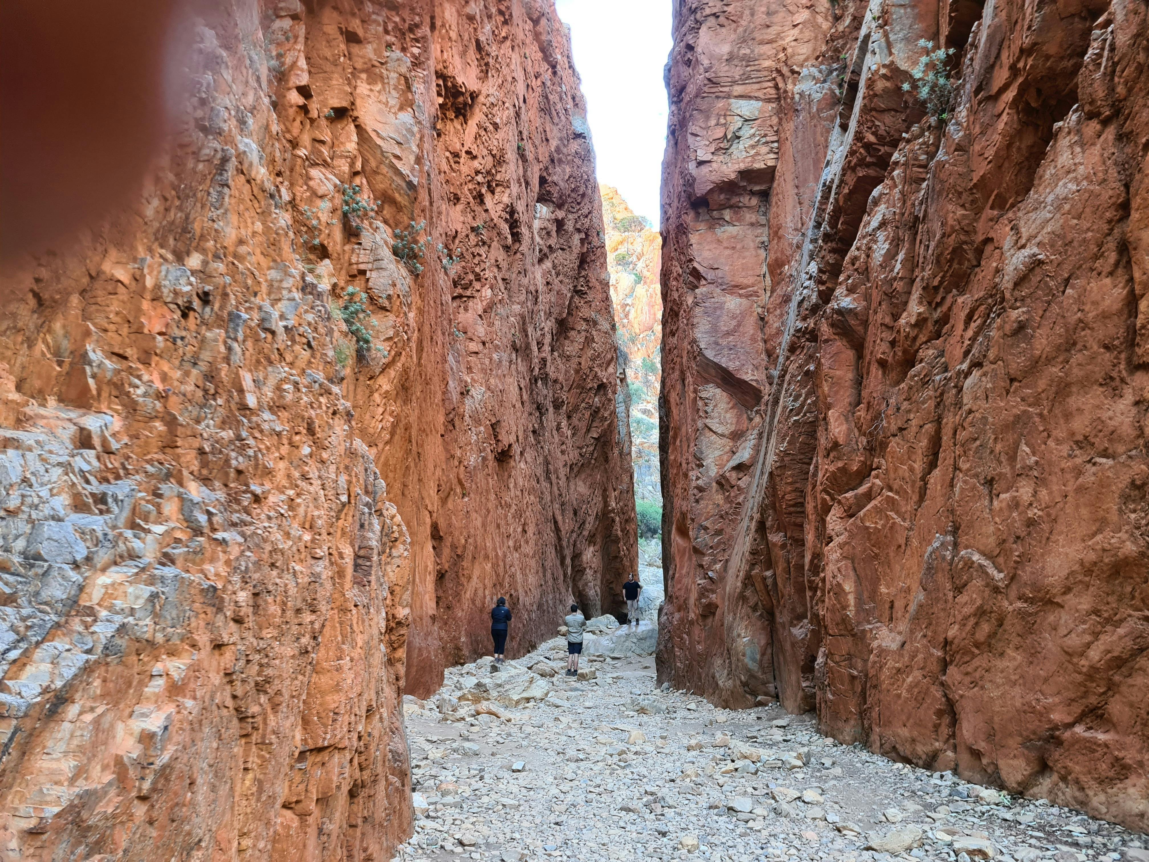 West MacDonnell Ranges Half Day Tour - Small Group