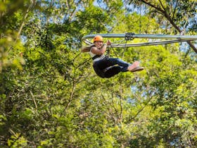 Treetops Adventure Zipcoaster