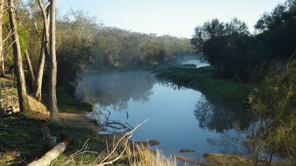 Bilya Walk Track