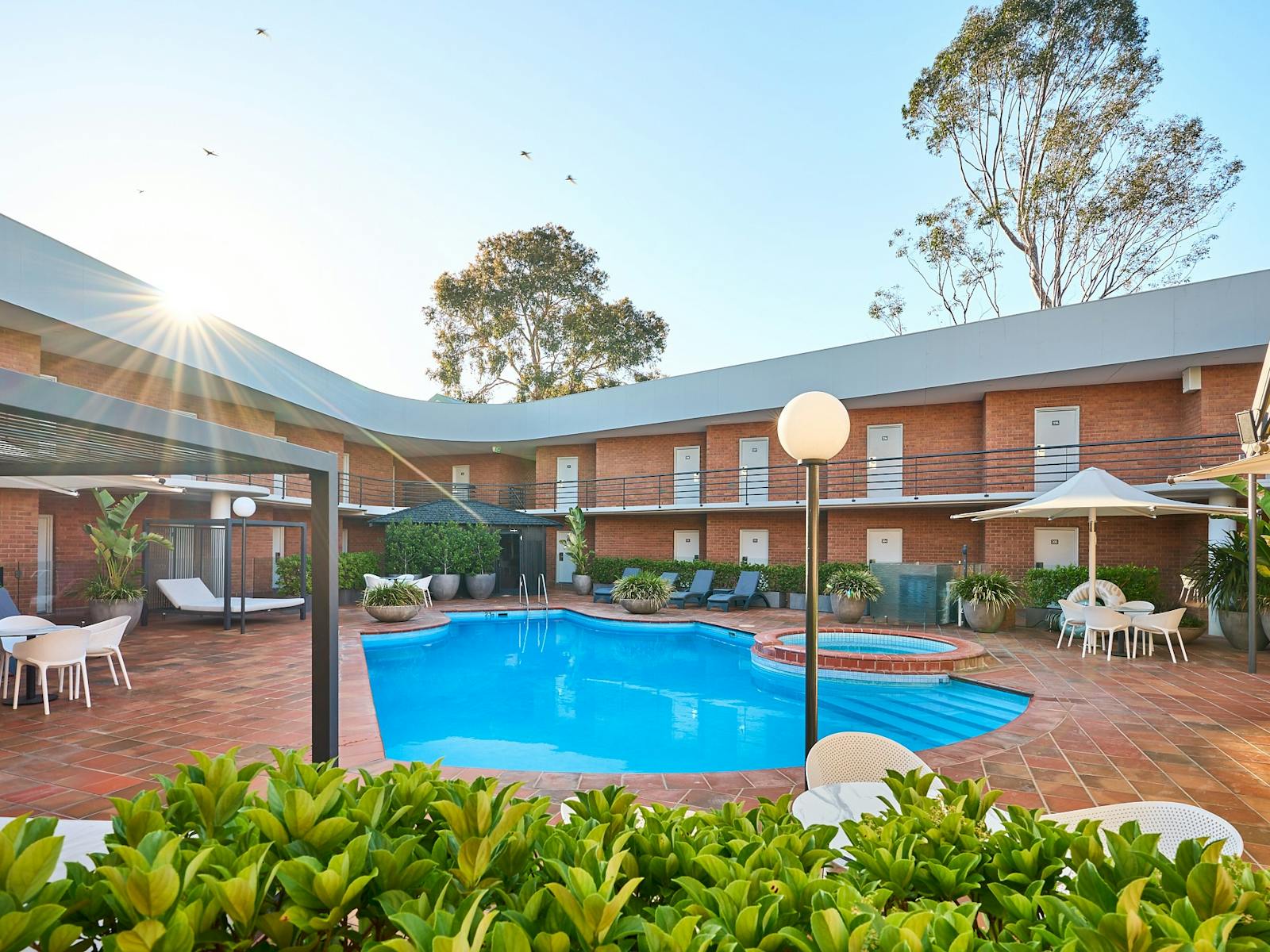 Swimming pool area with blue clean pool, sauna, landscaped gardens and birds in the sky