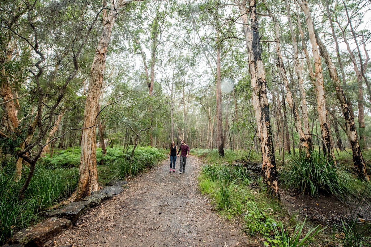 A couple, holding hands and walking along a trail surrounded by trees.