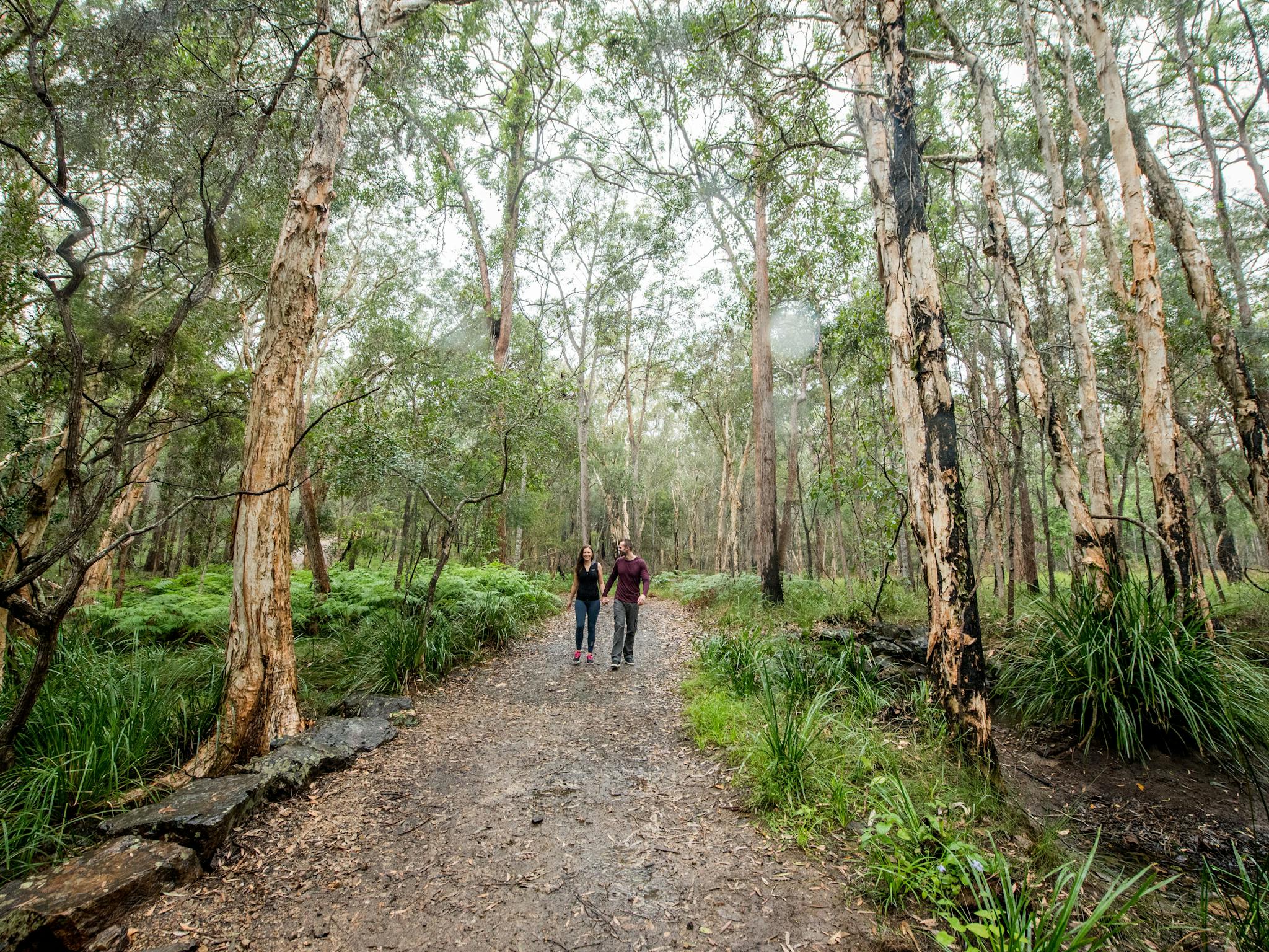 A couple, holding hands and walking along a trail surrounded by trees. A couple, holding hands and walking along a trail surrounded by trees.