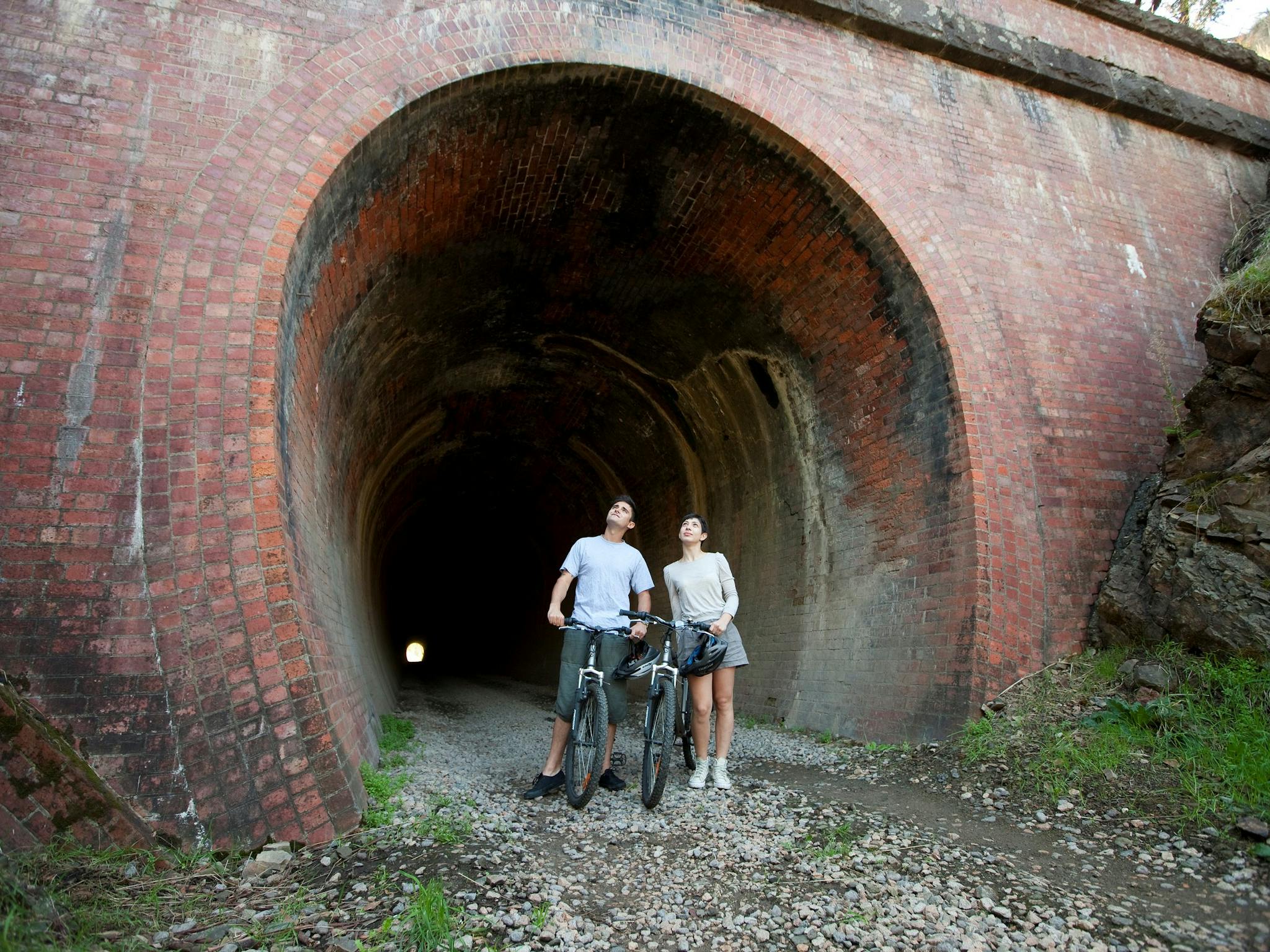 Cheviot Tunnel