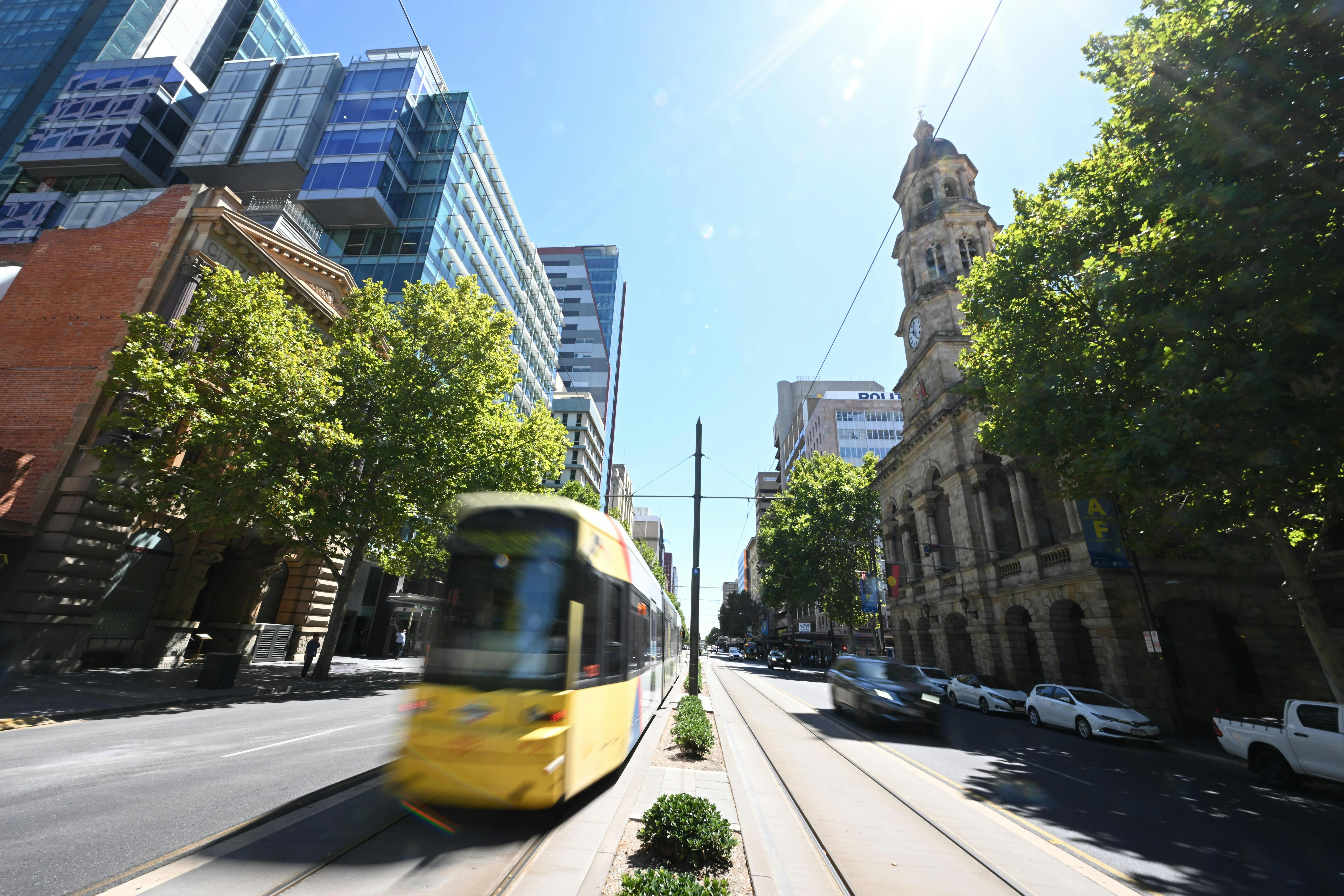 A tram travels down a city street surrounded by leafy trees and a sunny blue sky.