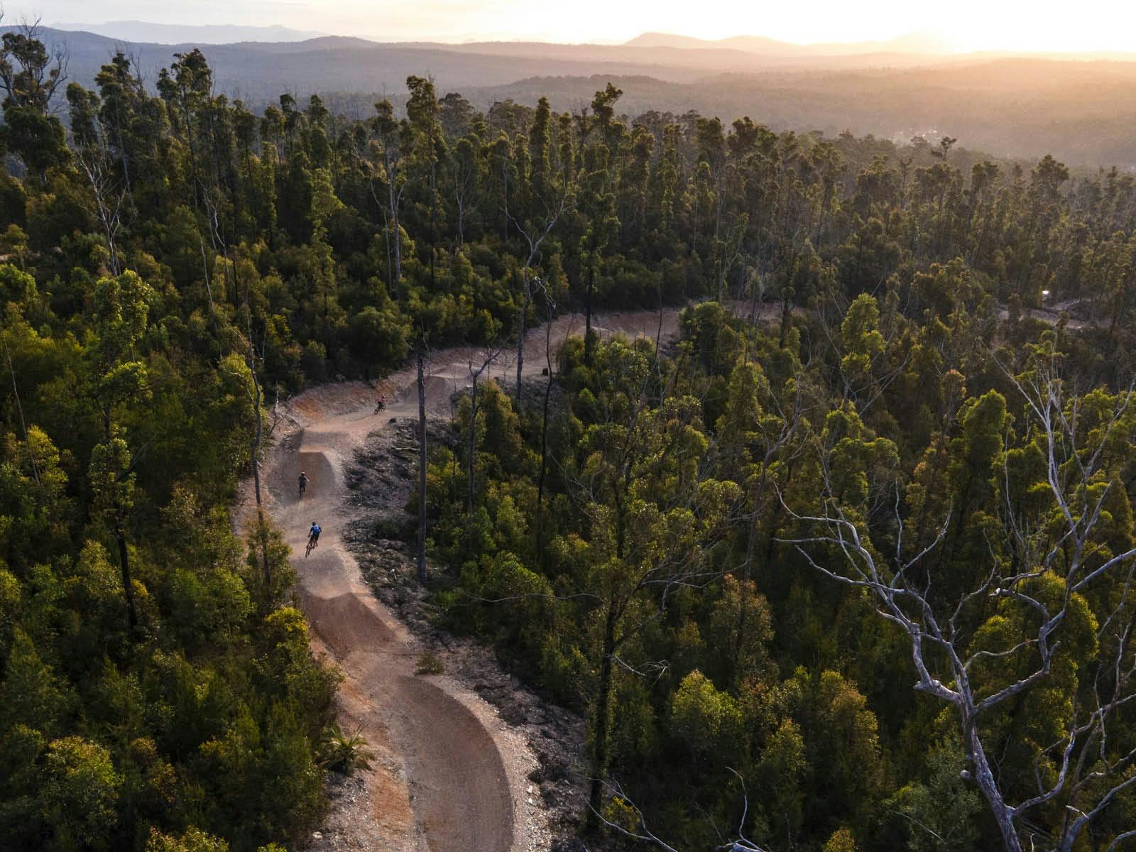 숲 속 산악자전거 트레일의 상공 전망