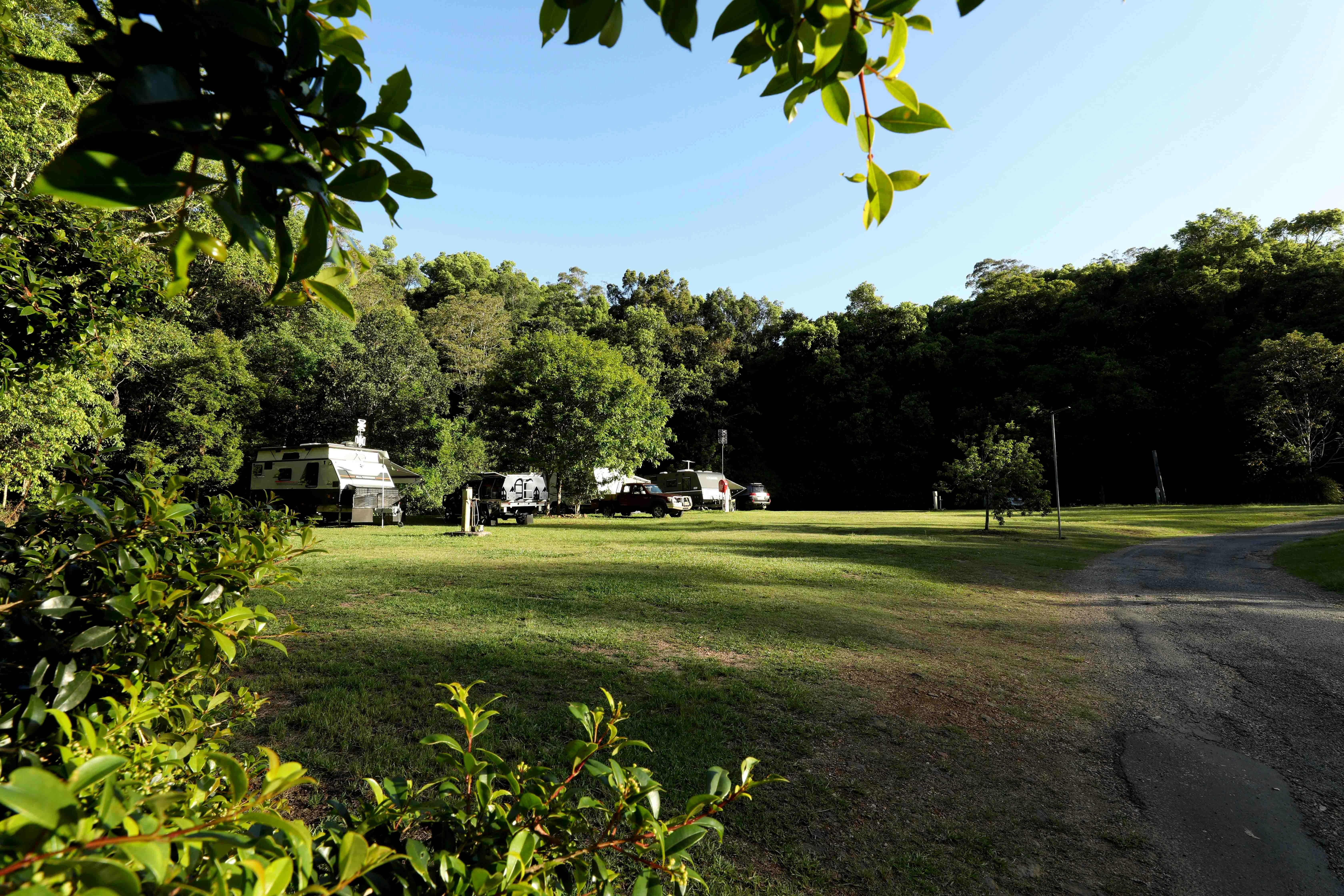 Wollumbin; Camping; Eco; Cottage; Cabin; Rainforest; Tweed Valley; Northern Rivers; Wildlife; World