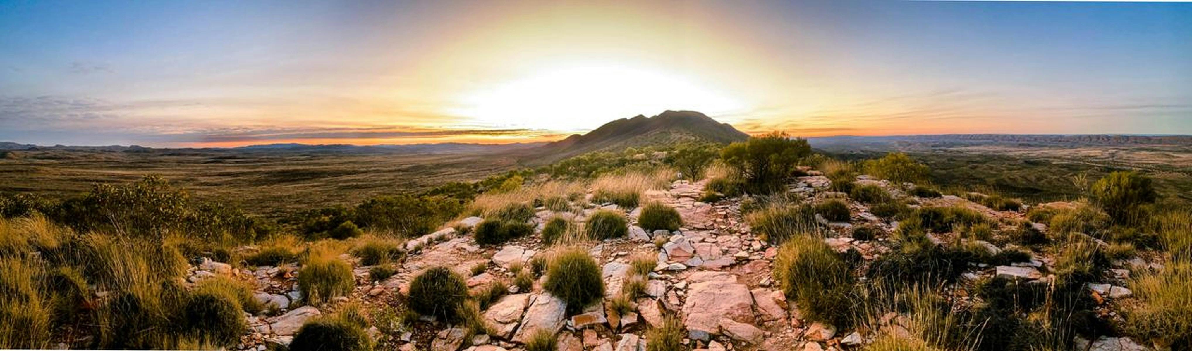 Larapinta Cukture Tour