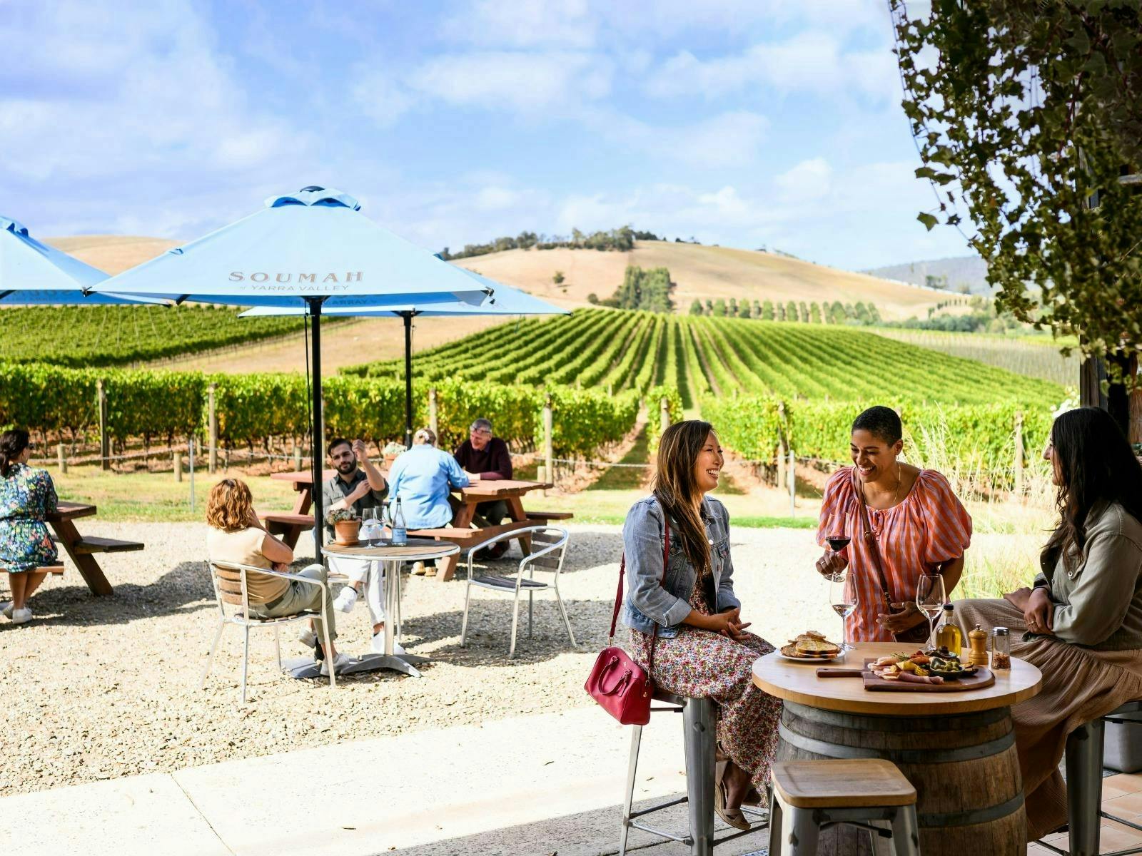 Yarra Valley Afternoon Winery Tour