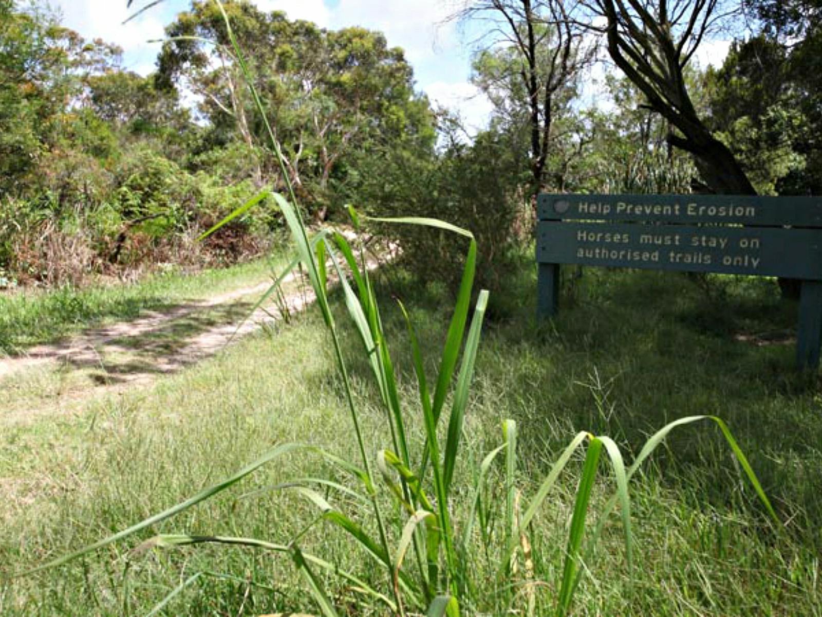 Perimeter Trail, Ku-ring-gai Chase National Park