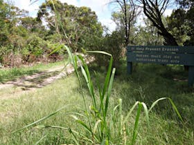 Perimeter Trail, Ku-ring-gai Chase National Park