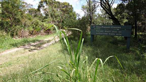 Perimeter Trail, Ku-ring-gai Chase National Park