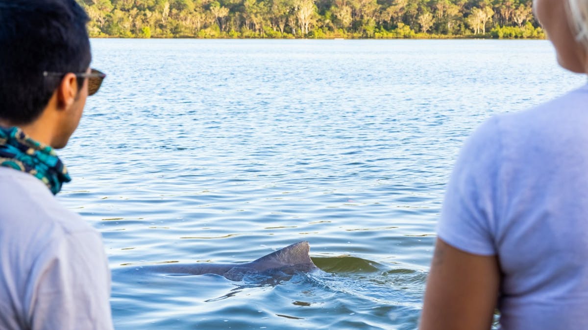 People watching an Australian Humpback Dolphin leaving Tin Can Bay