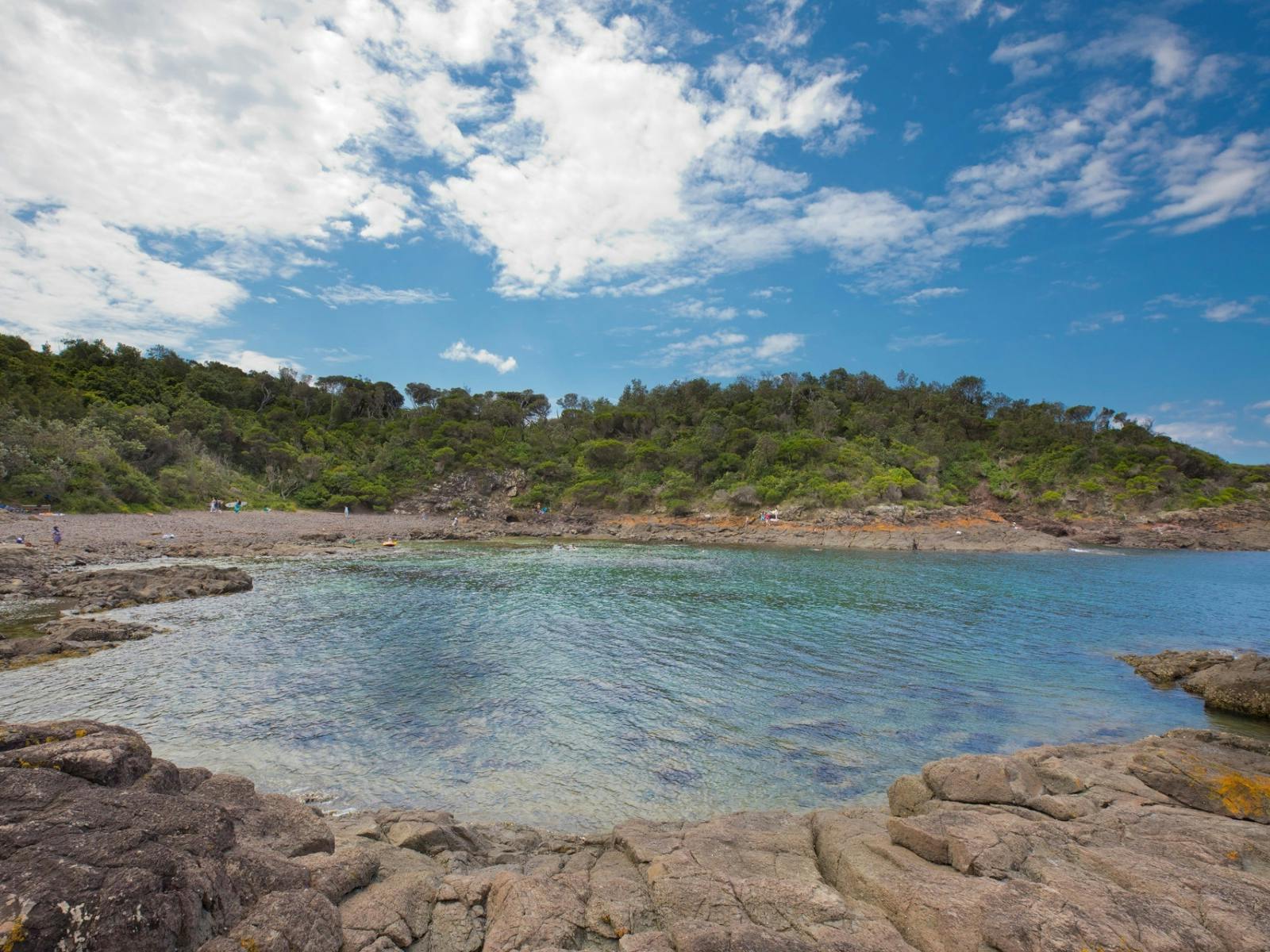 Bas Point Schedule Bass Point Reserve in Shellharbour - The Fold: Your Guide to Everything ...