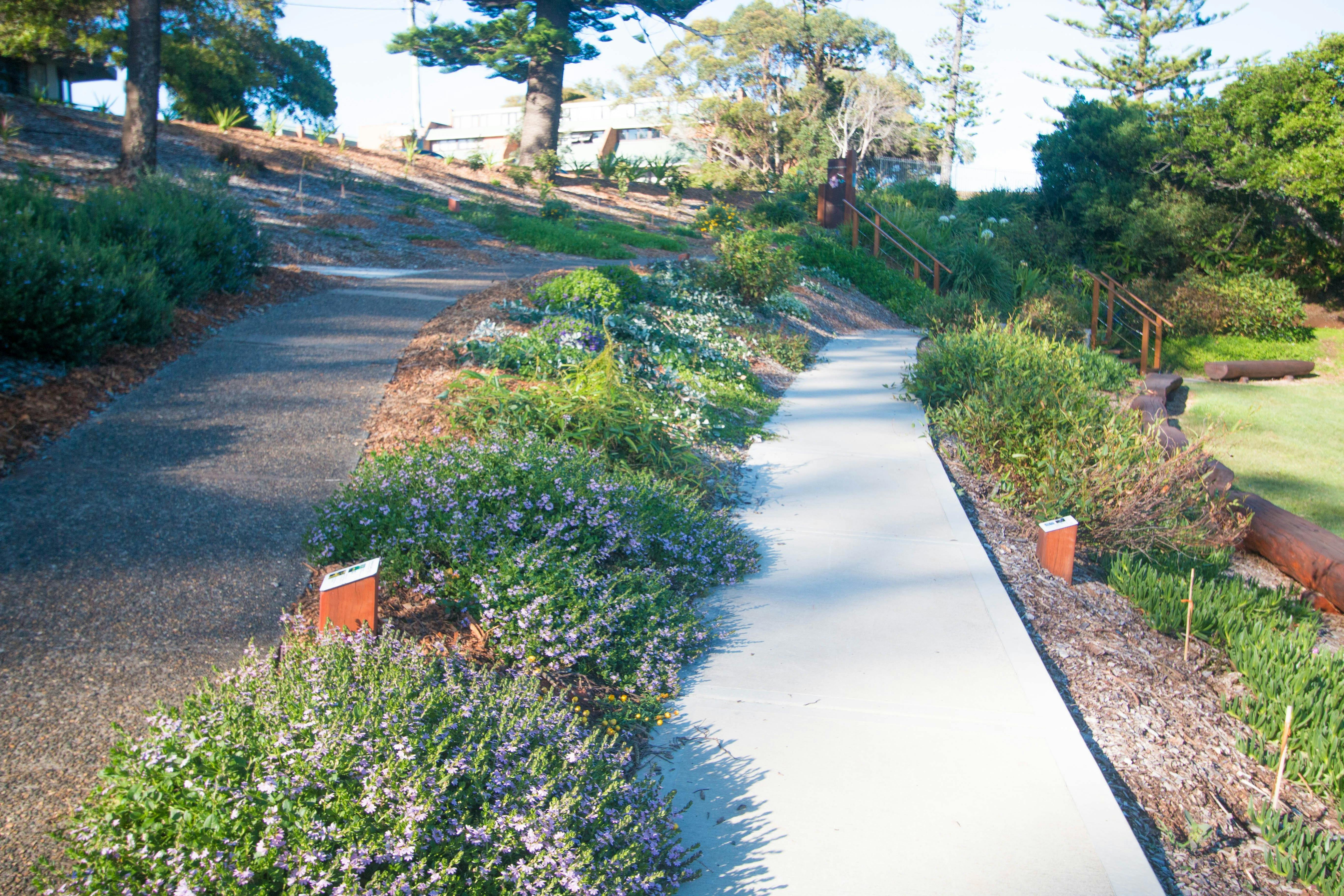 Pathway gardens.