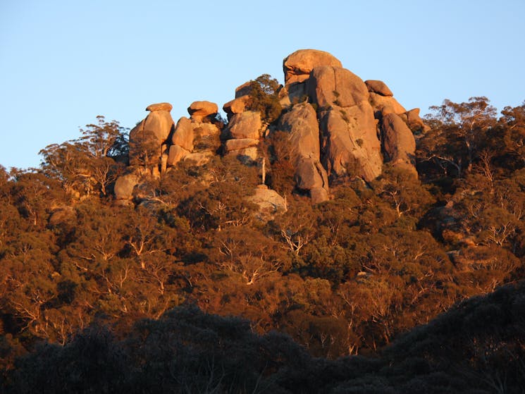 Evans Crown rock formation at Evans Crown Nature Reserve, Tarana, Blue Mountains