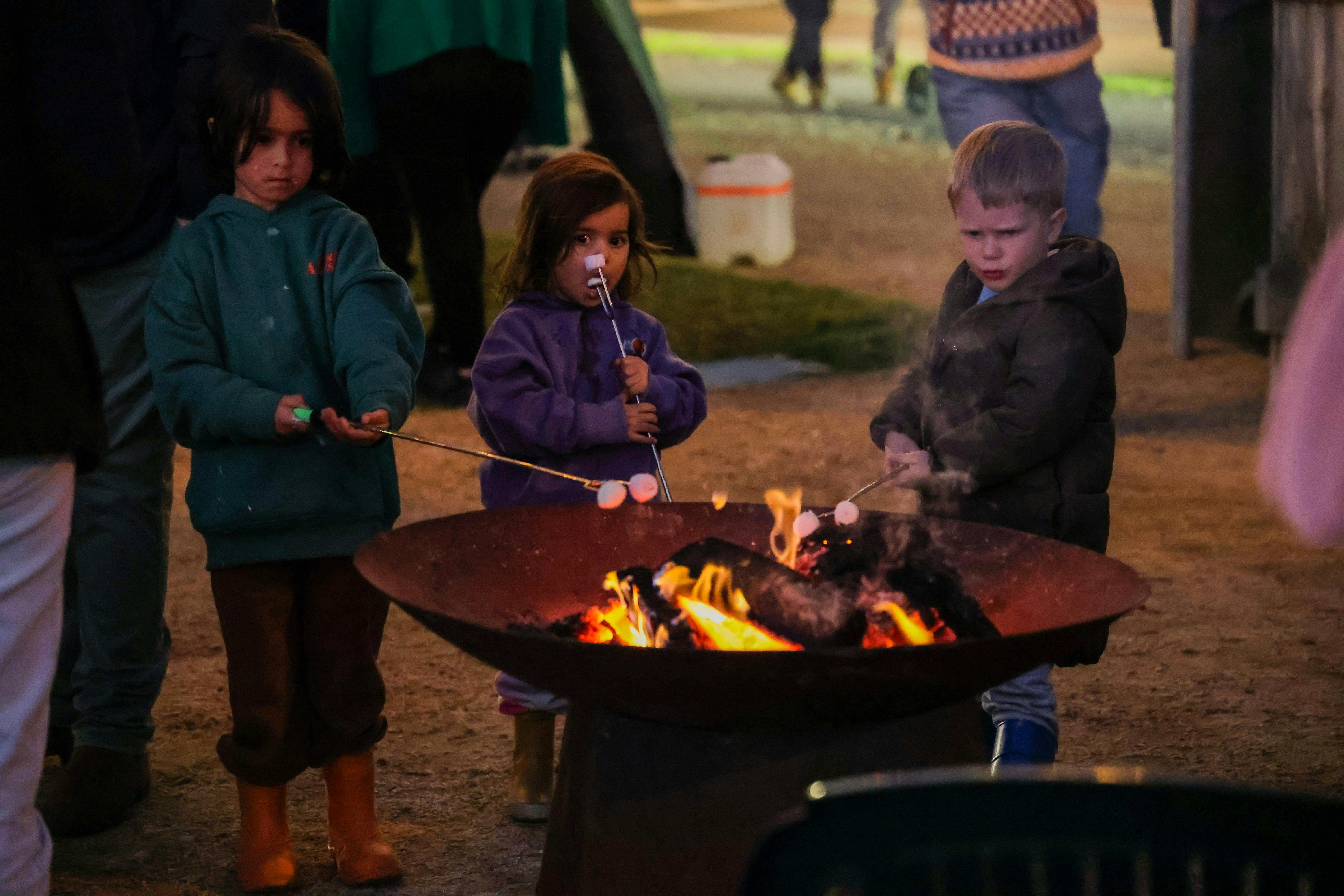 Toasting Marshmallows on the Fire