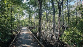 Diversity Trail Cape Hillsborough
