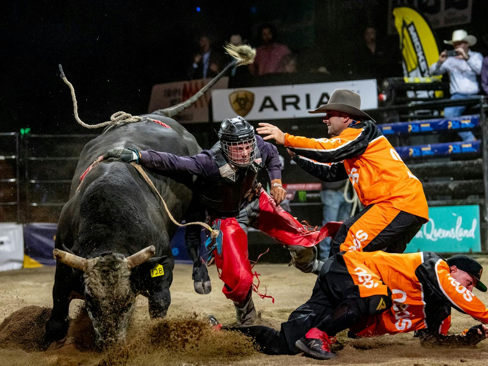 bull rider hungup on bull