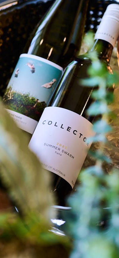 A mix of Canberra wines in an ice bucket for serving