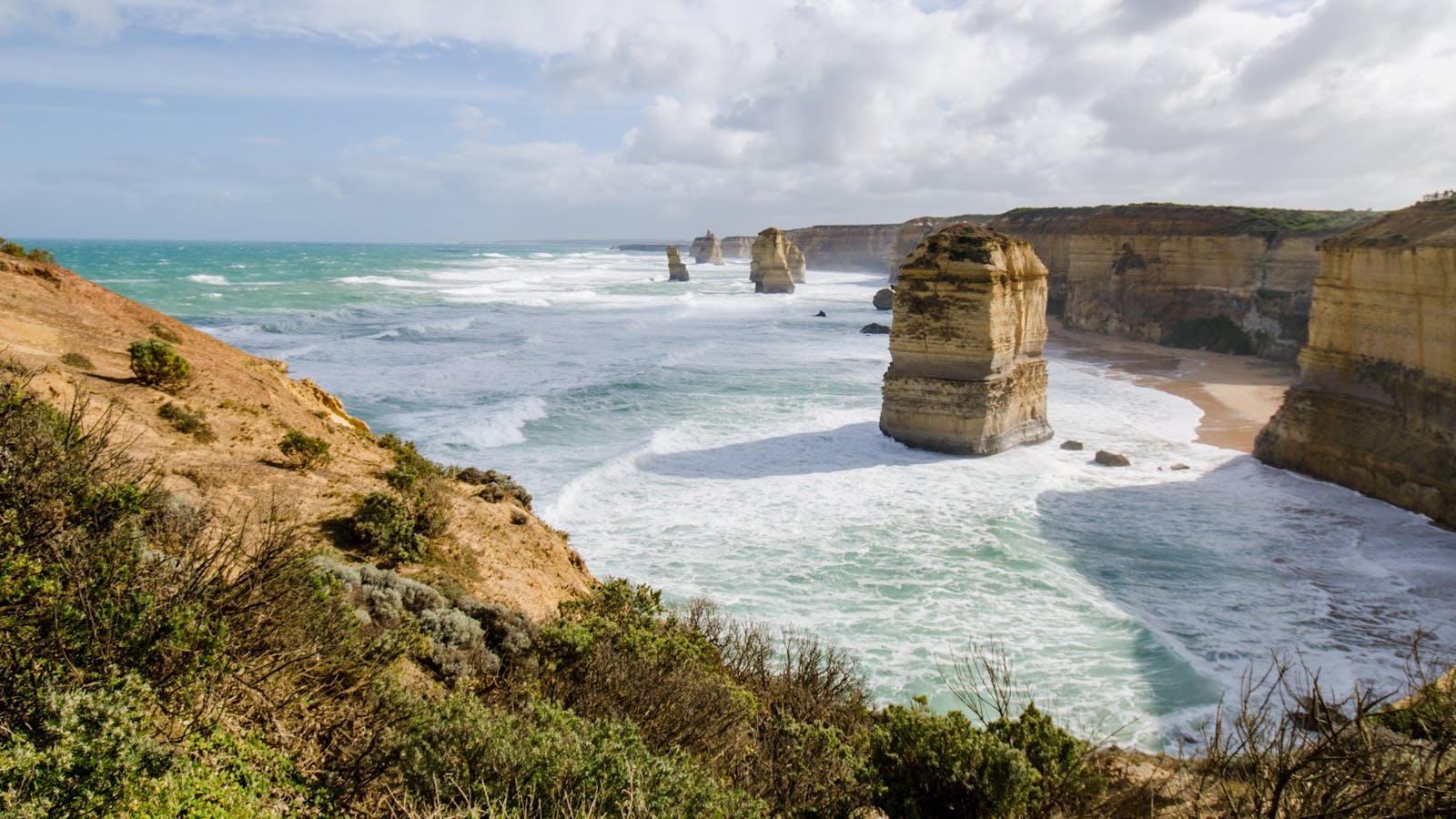 Wildlife Tours Australia - Victoria
