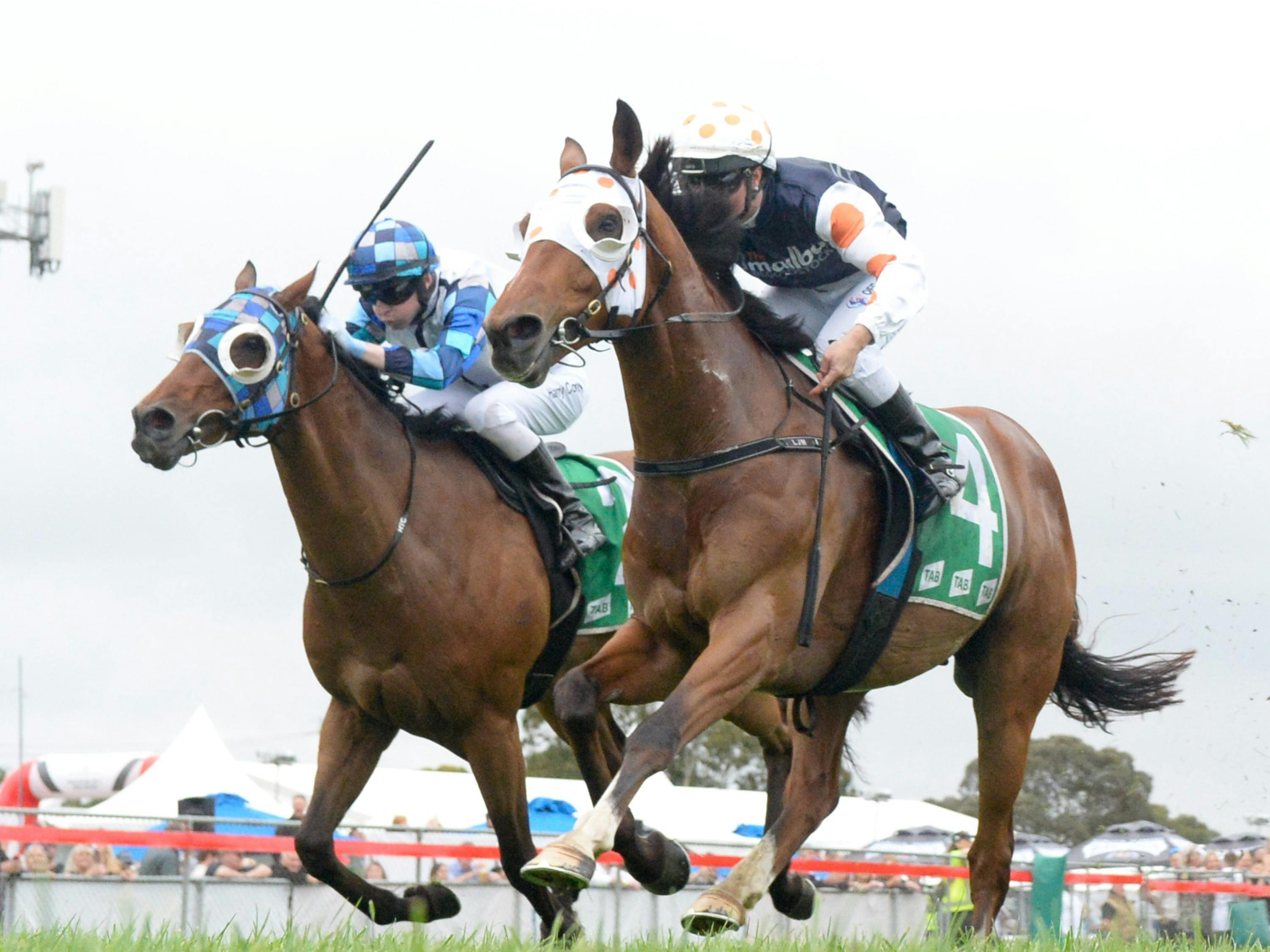 Keats - 2023 Werribee Cup Winner