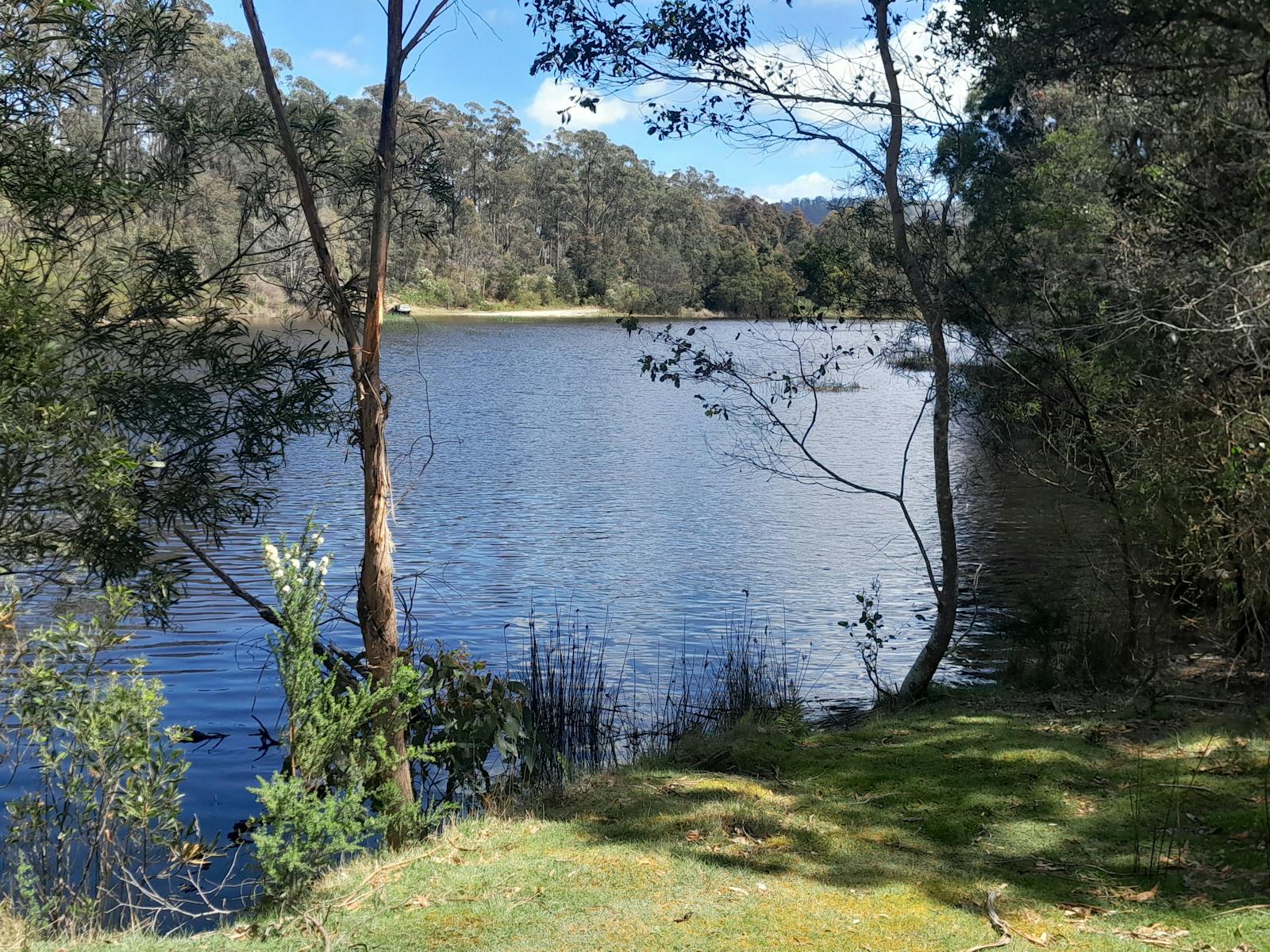 North East Tasmania Rail Trail Tonganah