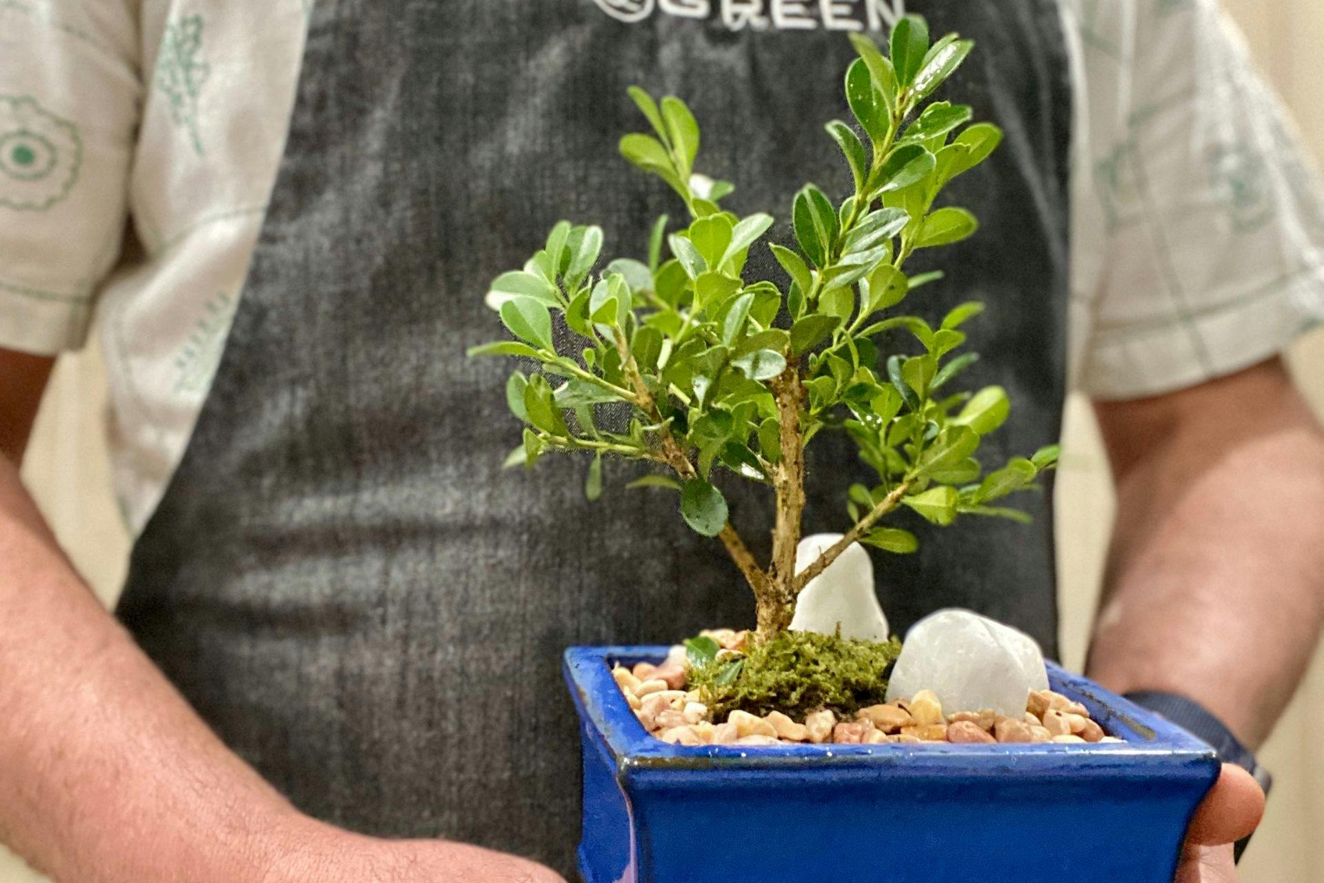 Micro-penjing workshop