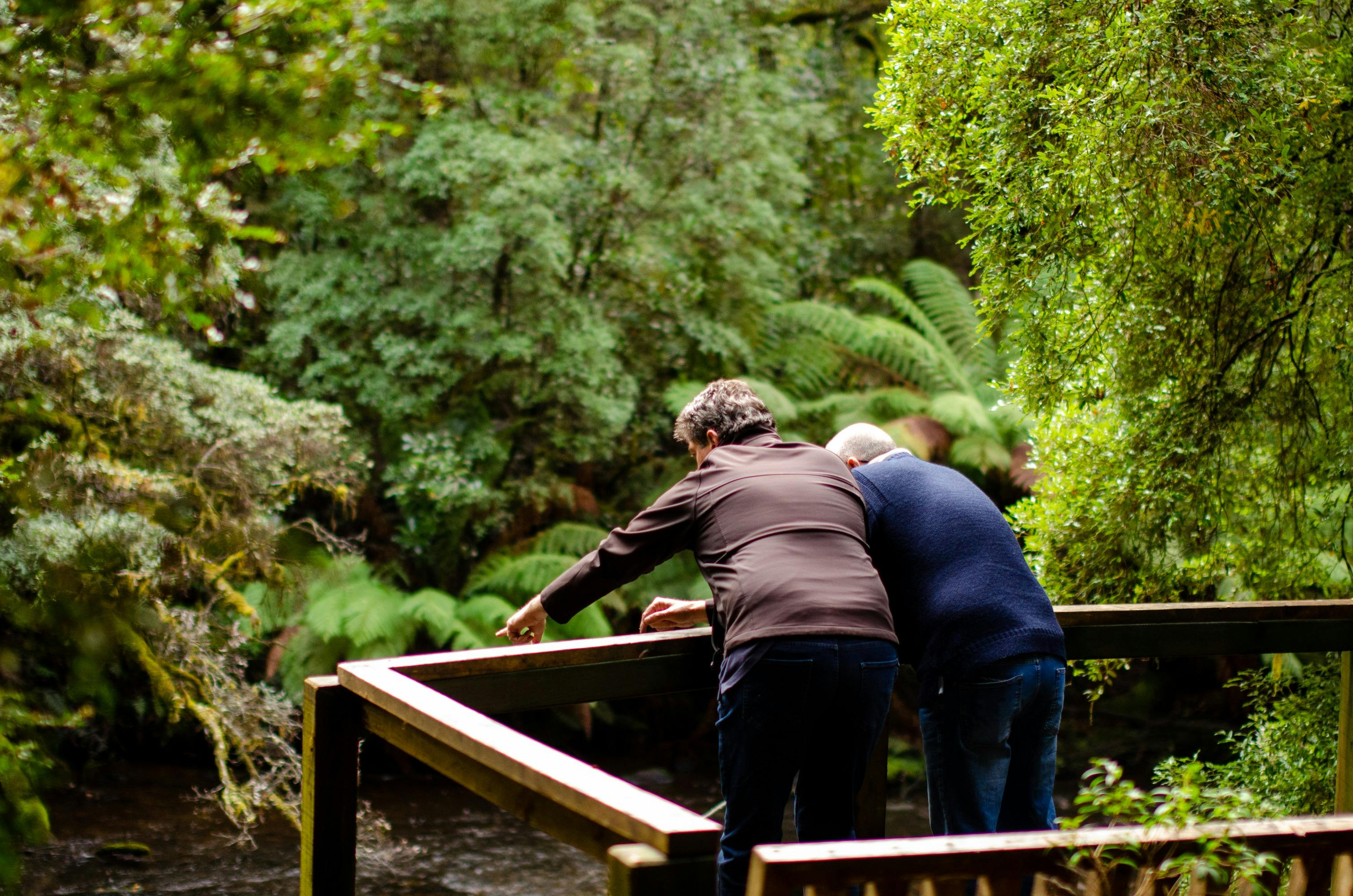 Rob pointing out from viewing platform over stream with tour guest looking out with him