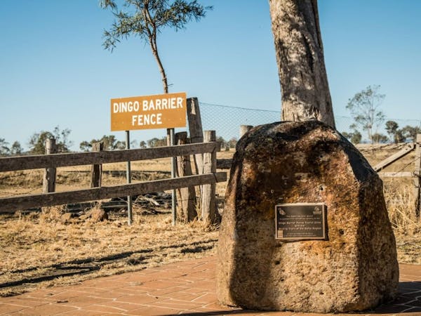 Wild dog outlet barrier fence