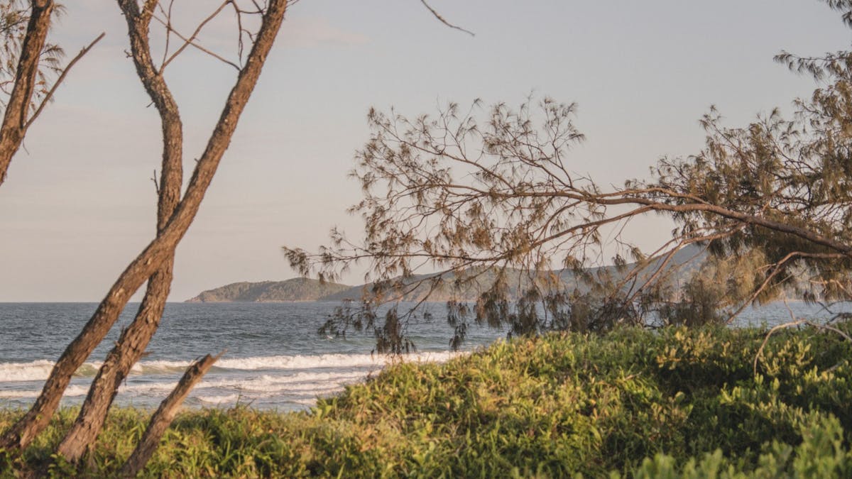Beautiful view of Noosa North Shore with blue waters, crashing waves, and lush Australian bushland.