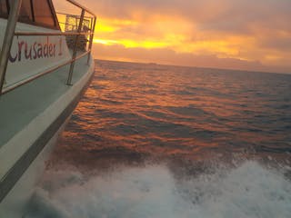 Sunshine Coast Afloat