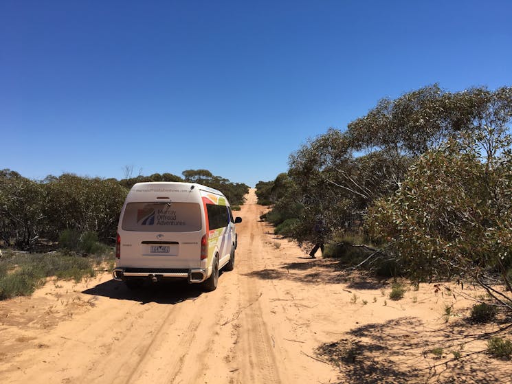 Search for the elusive mallee fowl.