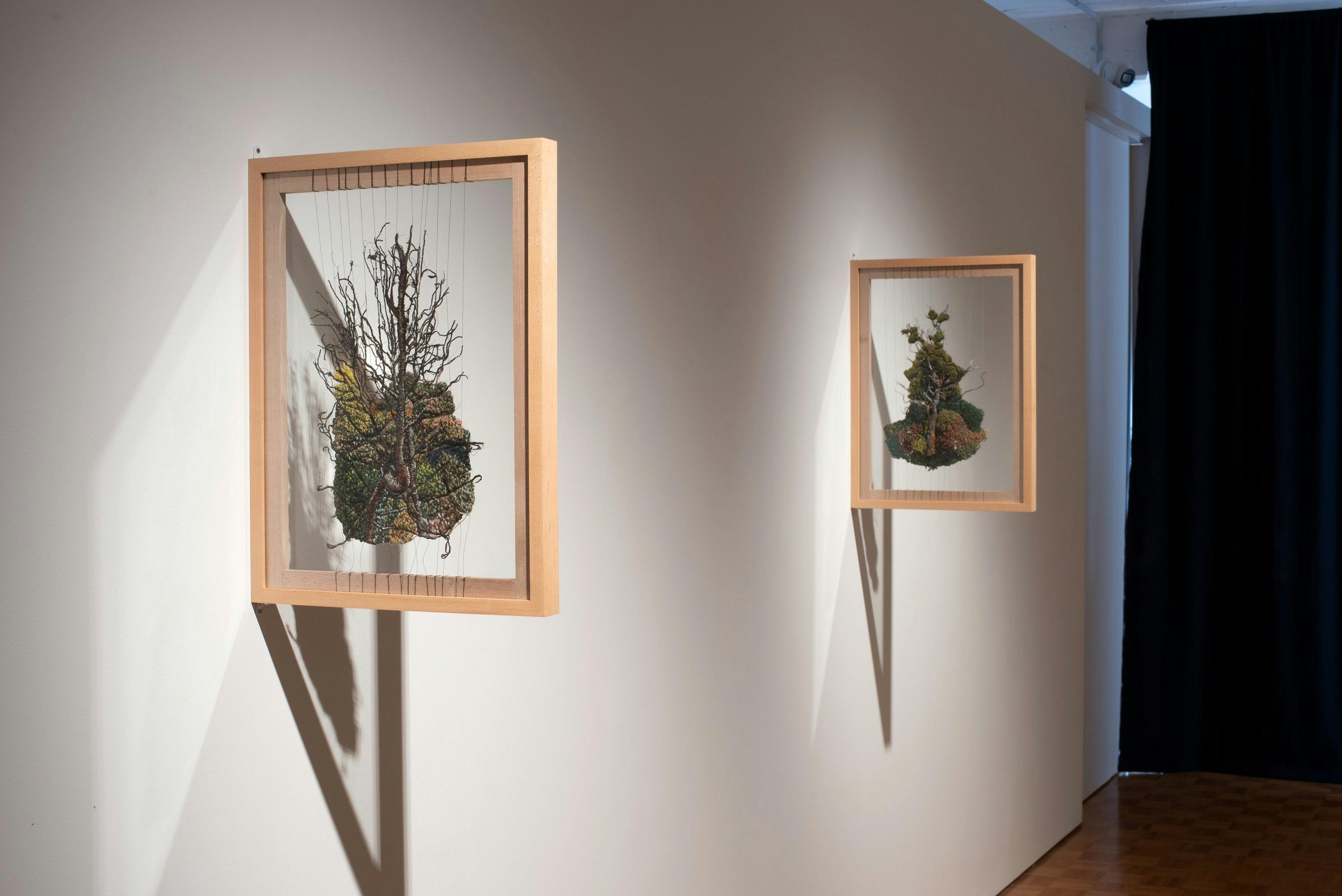 Embroideries depicting native tree species hang in their frames, suspended by silk threads.
