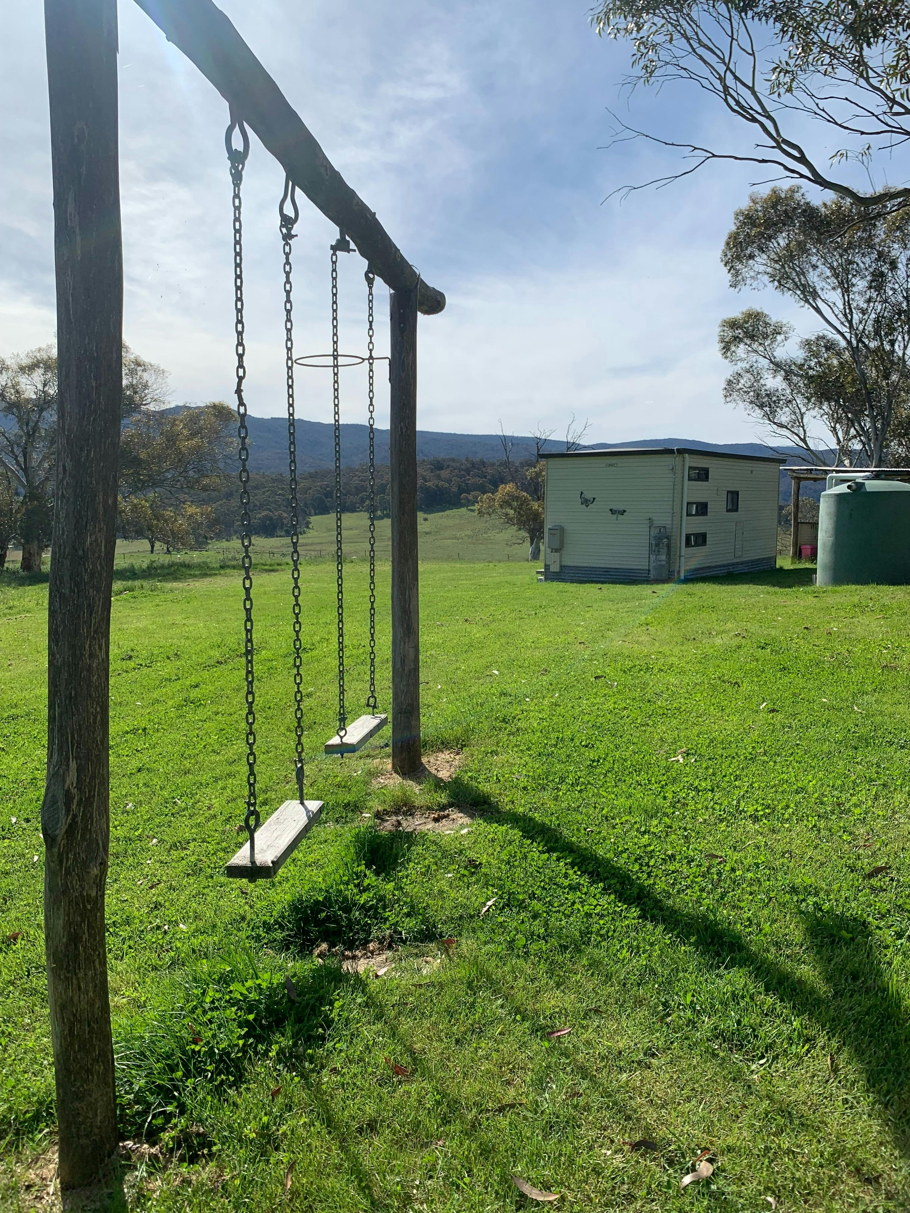 kids and adult swings