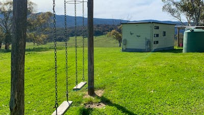 kids and adult swings