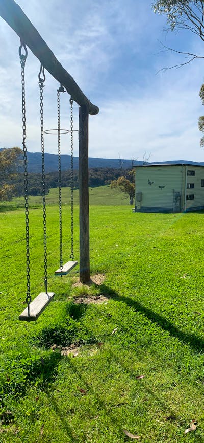 kids and adult swings