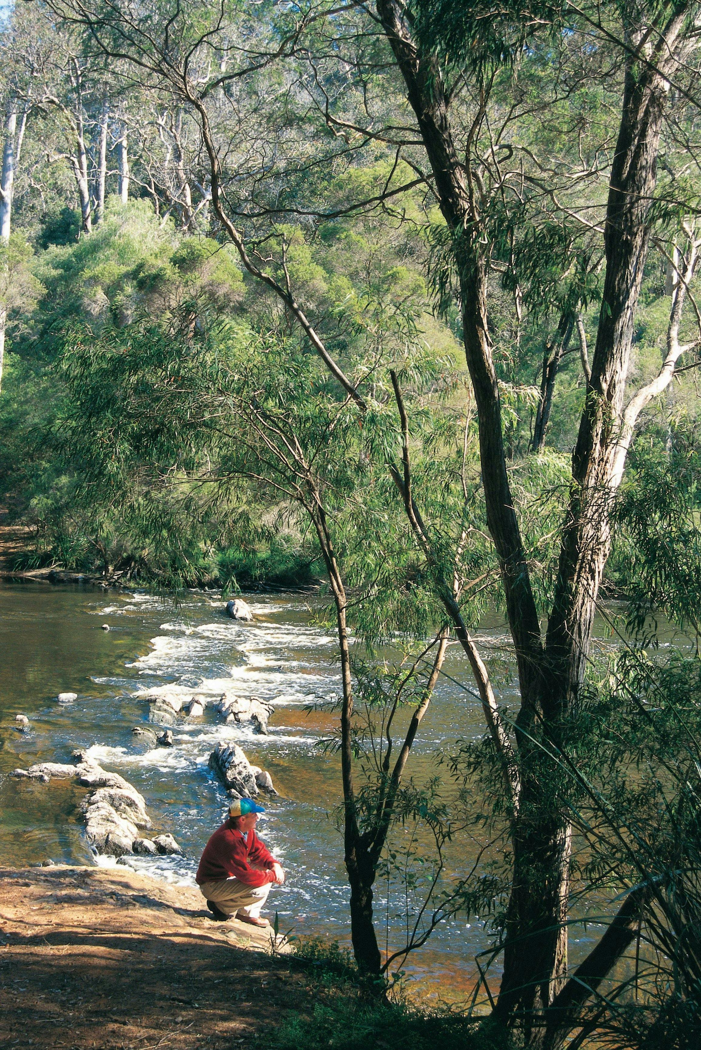 Jarrahland Wildflower Trail, Warren National Park, Western Australia