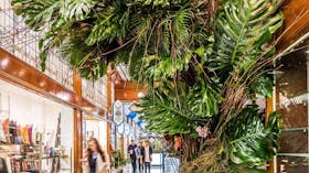 Brisbane Arcade