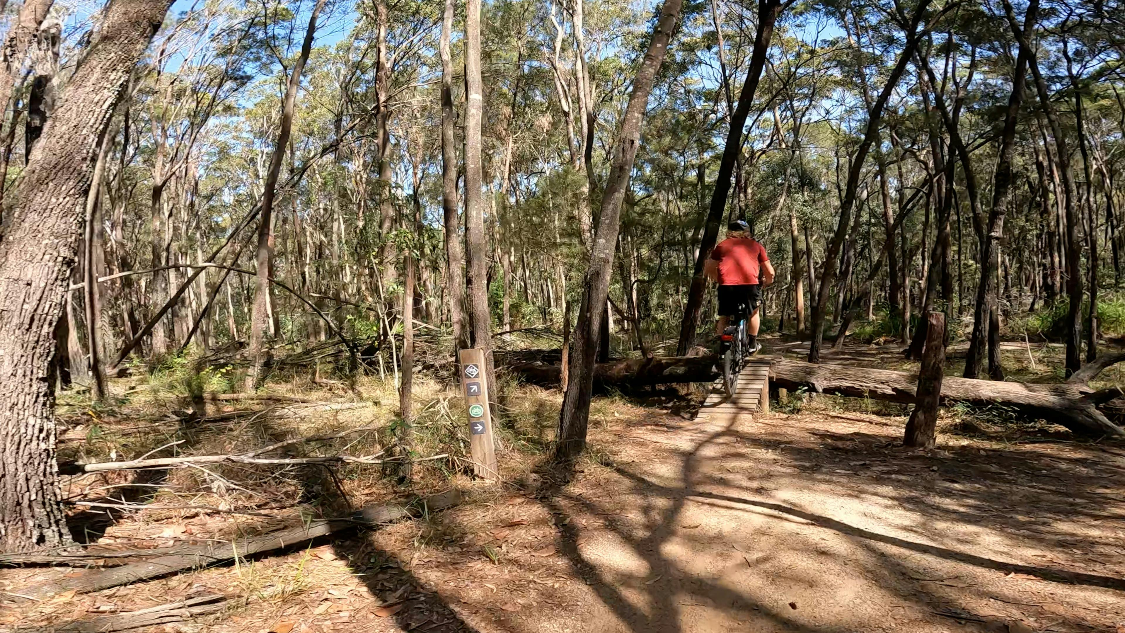 Conquering new heights at the Sugar Bag Rd MTB trails , tackle a step-up