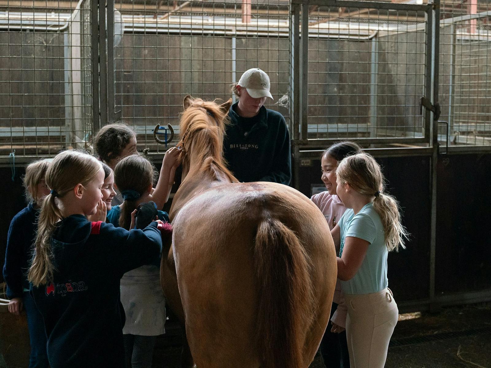 Children grooming pony