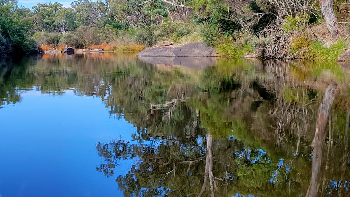 Dazzling reflections on the river at the bottom of the property