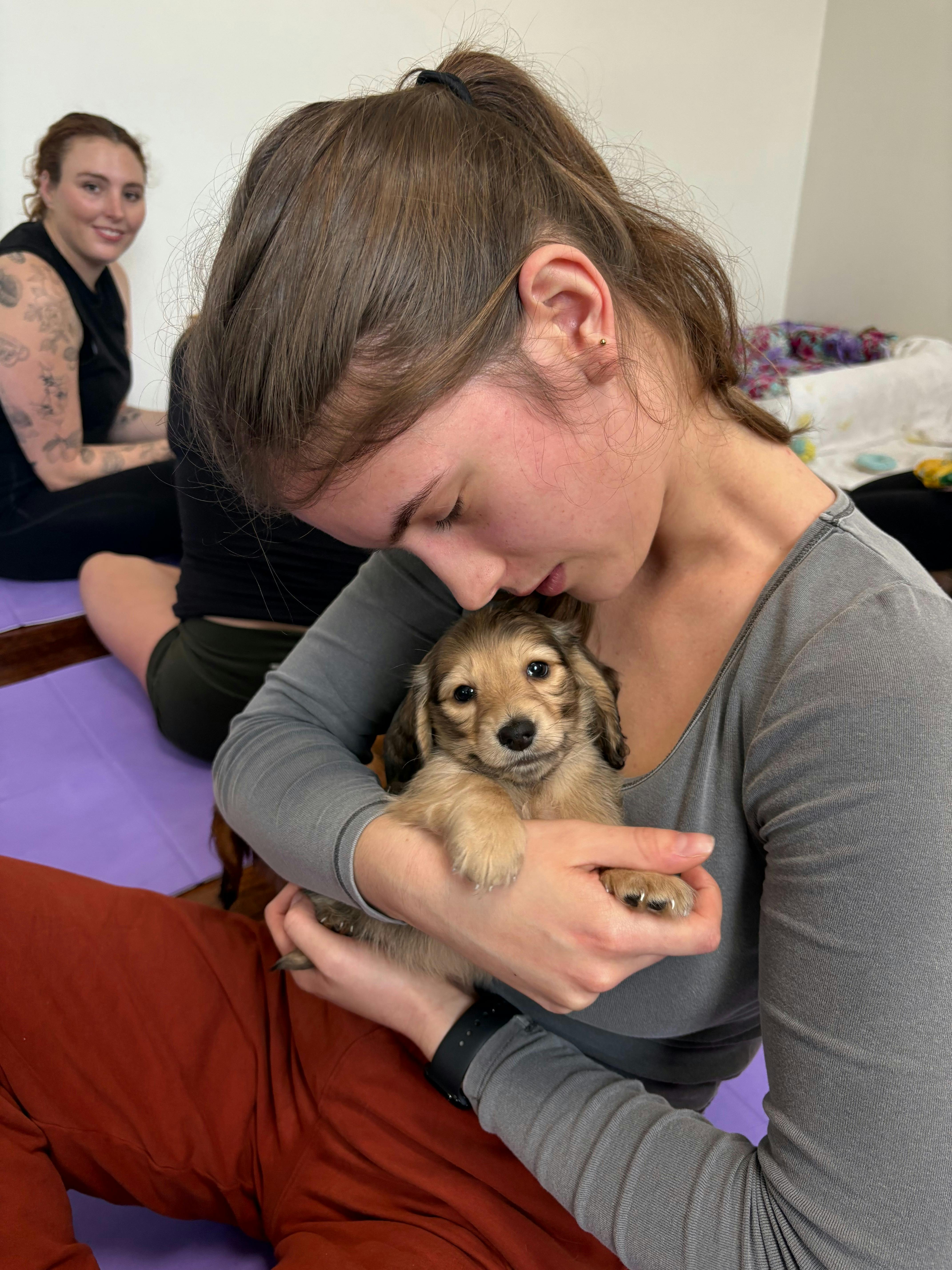 Yoga Paws | Puppy Yoga Sydney